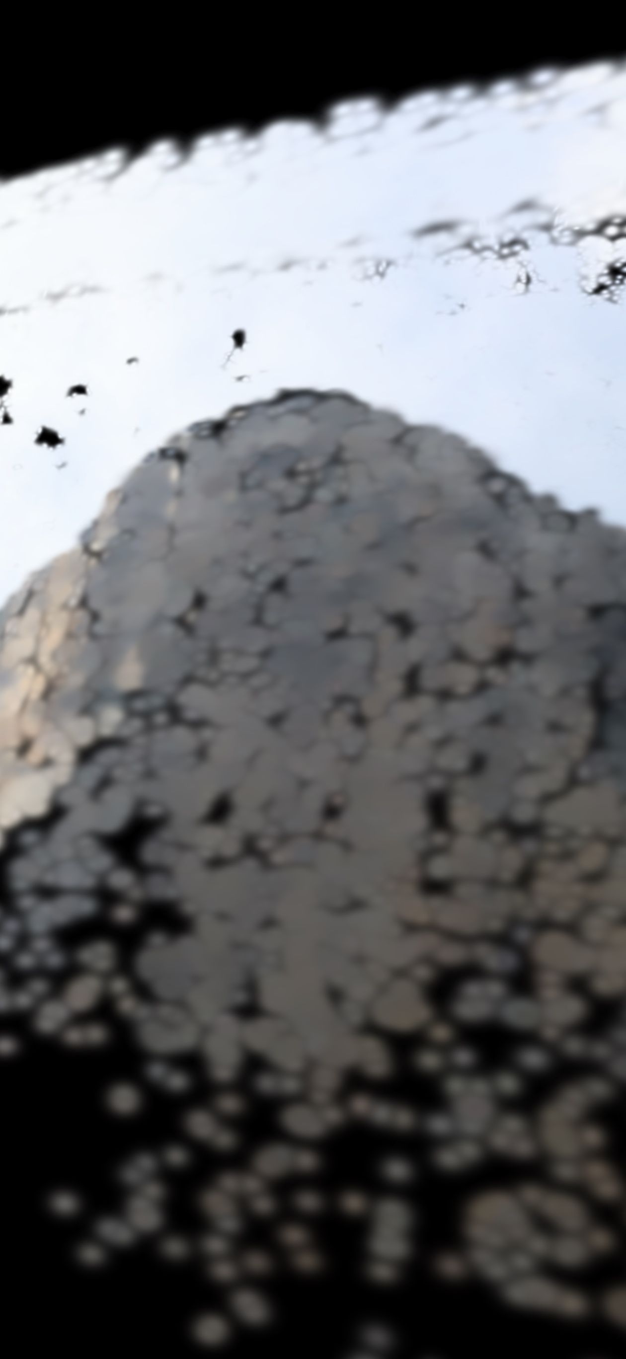 el cap